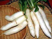 Củ cải giải trừ độc