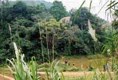 Chiến lược chúng sống hòa bình với thiên nhiên