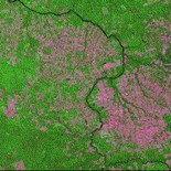 Rừng Amazôn bị tàn phá nặng nề