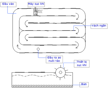 Xử lý nước thải bằng thủy sinh thực vật