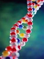 Bản đồ DNA mới giúp chống lại gen có hại