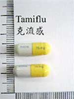 Nhiều cơ quan tìm mua thuốc Tamiflu