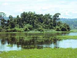 Khu Bàu Sấu được công nhận là vùng đất ngập nước