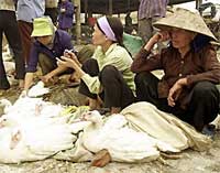Người dân thờ ơ, chính quyền buông lỏng