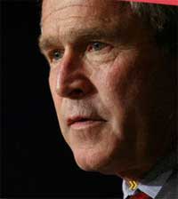 Mỹ: Tổng thống Bush công bố kế hoạch 7,1 tỉ USD chống cúm gia cầm