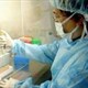 Hy vọng bào chế nhanh vaccine cúm gia cầm