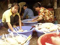 Người dân thờ ơ, chính quyền buông lỏng