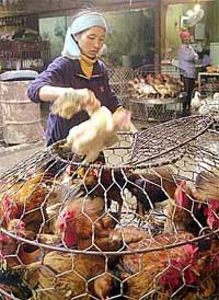 Người dân thờ ơ, chính quyền buông lỏng