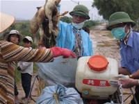Khẩn trương dập dịch