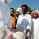 Phát hiện cúm gia cầm tại Kuwait