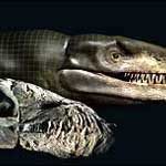 Phát hiện xương cá sấu hoá thạch có niên đại 140 triệu năm