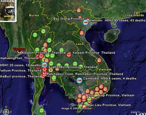 Google Earth cung cấp bản đồ đại dịch cúm gà toàn cầu