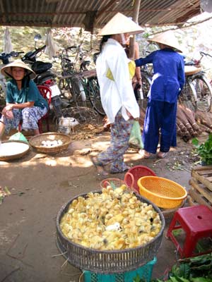 TT-Huế: Gia cầm dồn từ phố về chợ quê