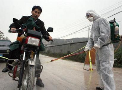 Trung Quốc: Ổ dịch cúm gia cầm thứ 9
