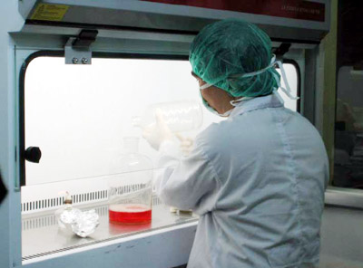 Chưa thể thử nghiệm vaccine H5N1 trên người vì... thủ tục?