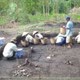 Làng cổ hai nghìn năm ở vùng Đồng Tháp Mười