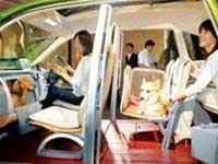 Những phát minh thú vị năm 2005