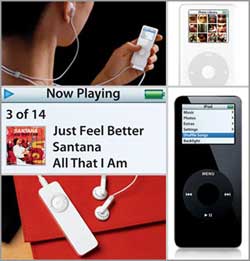 10 câu chuyện hay nhất về IT 2005