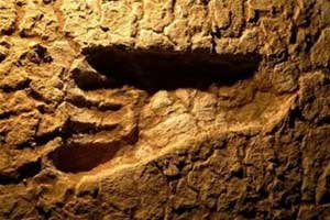 Úc phát hiện dấu chân người thời kỳ băng hà