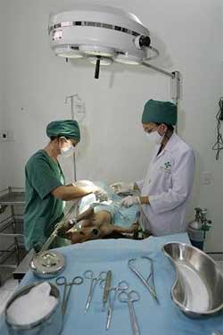 Bộ Y tế bình chọn 10 sự kiện năm 2005