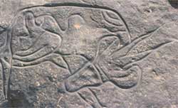 Cao nguyên Tassili N'Ajjer (Algérie)