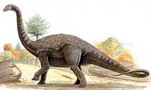 Phát hiện bộ xương loài khủng long cách đây 71 triệu năm