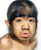 Phát hiện y khoa động trời: Con người có thể biến thành cây cỏ hay con vật