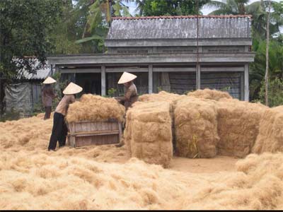Sơn 'cận' - Nhà sáng chế 'nông dân'
