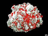 Tìm ra hóa chất ngăn nhặn HIV phát triển