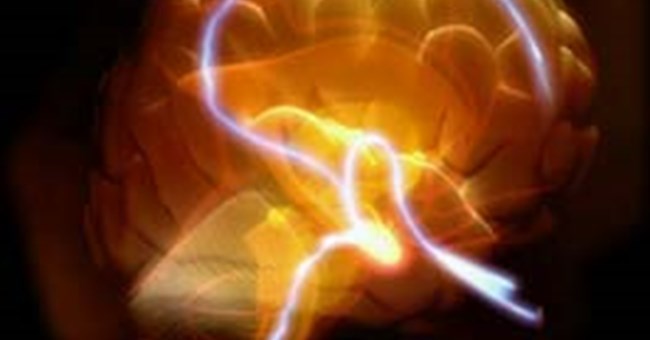 Khối lượng của não có quan hệ với trí thông minh?