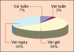 An ninh mạng Việt Nam 2005