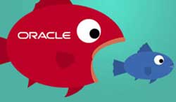 Oracle lại lăm le nuốt MySQL