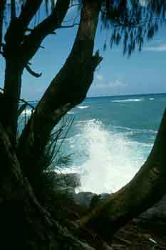 Đảo quỷ gầm - Đảo Kauai