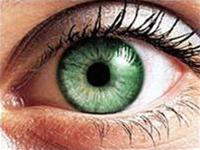 Khám phá ra gene chủ chốt gây suy giảm thị lực