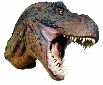 Bản Vẽ Khủng Long Phác Thảo Tay Của Spinosaurus Minh Họa Đen Trắng Hình  minh họa Sẵn có  Tải xuống Hình ảnh Ngay bây giờ  iStock