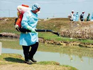 Các địa phương tổ chức vệ sinh môi trường phòng cúm A/H5N1