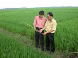 Sản xuất, ứng dụng thành công vật liệu zeolite ở VN