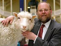 GS Wilmut không phải là "cha đẻ" của cừu Dolly