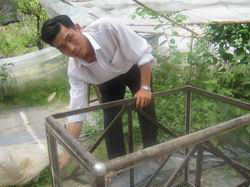 Hệ thống cảm nhiệt tự động để ươm cây con
