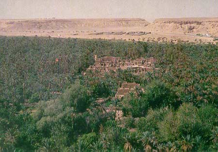 Bí ẩn về nguồn gốc rừng rậm Sahara