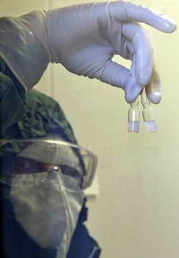 Hungary điều chế văcxin chống virus H5N1