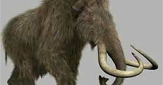 Voi ma mút lông dài cổ đại