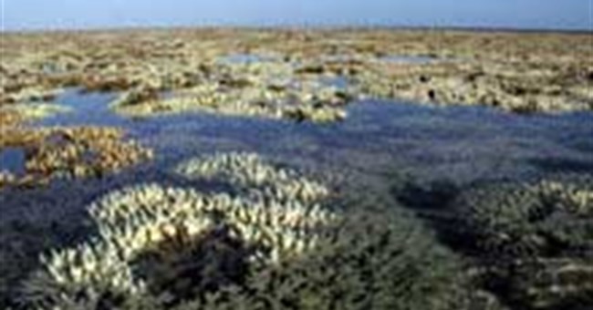 Bãi san hô lớn nhất thế giới - Coral Barrier