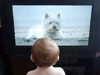 Trẻ dưới 2 tuổi không nên xem TV