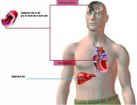 Rối loạn mỡ máu điều trị có thể không dùng thuốc