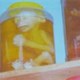 'Không nơi nào động vật hoang dã giảm nhanh như ở VN'
