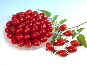 Ăn cà chua nấu chín chống được bệnh tim mạch