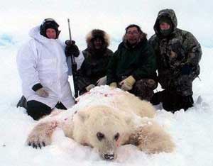 Gấu Bắc cực có thể lai với gấu nâu