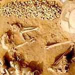 Hoàn thành việc khai quật Di chỉ khảo cổ tại Kon Tum