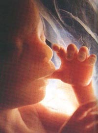 Bí ẩn sự hình thành con người